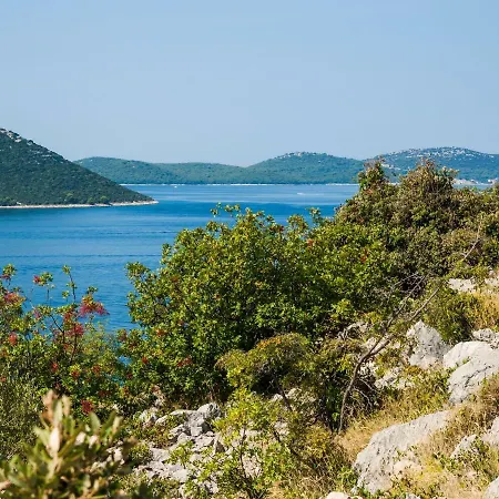 Holiday Panorama-3